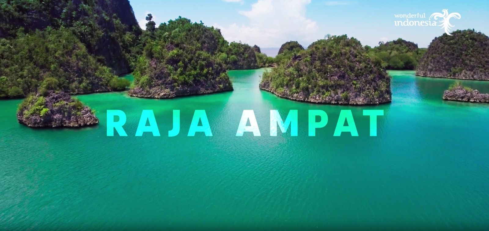 Raja Ampat the Heavenly Paradise