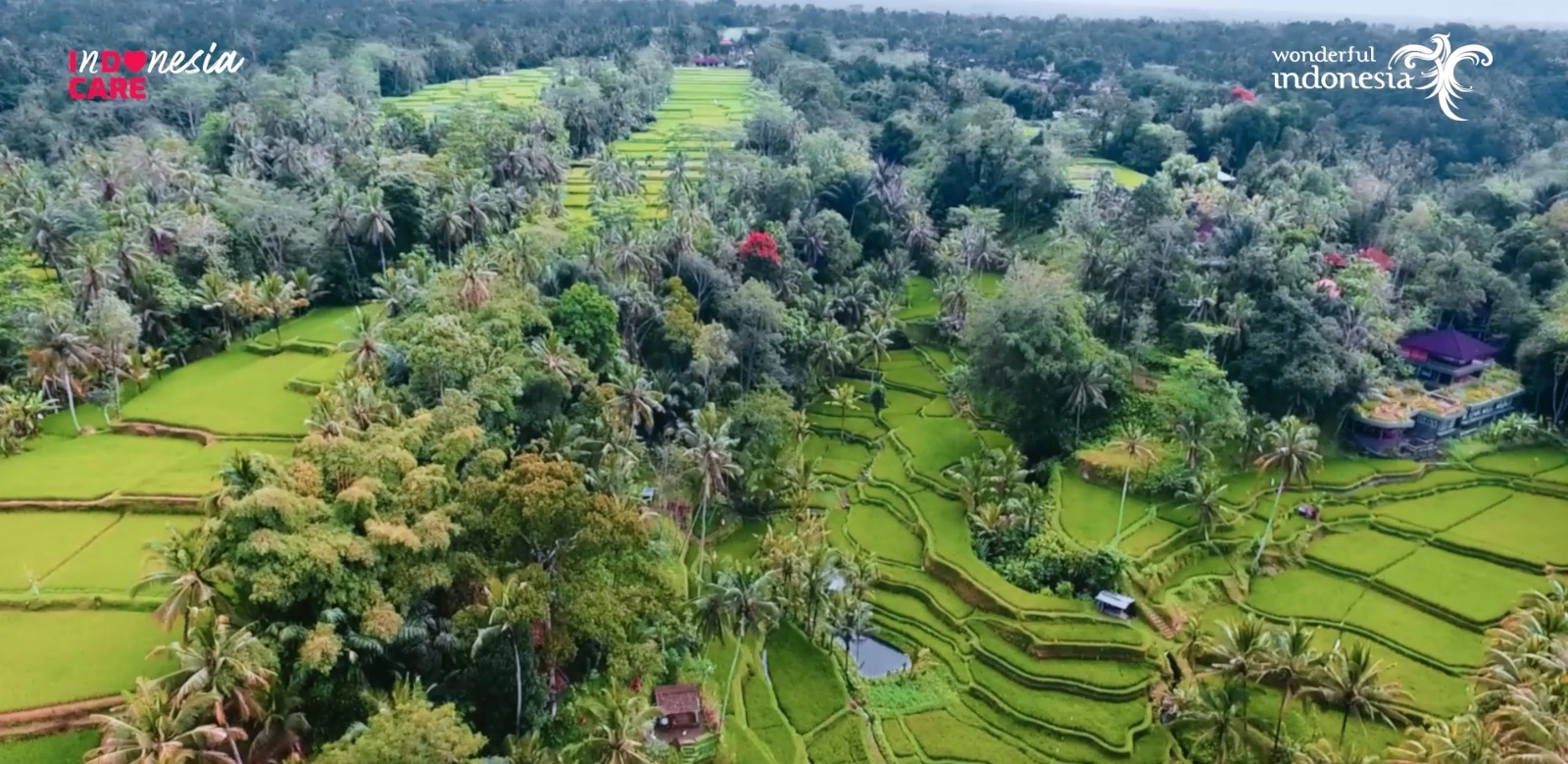 InDOnesia CARE - Bali, Preparing to Welcome You Back