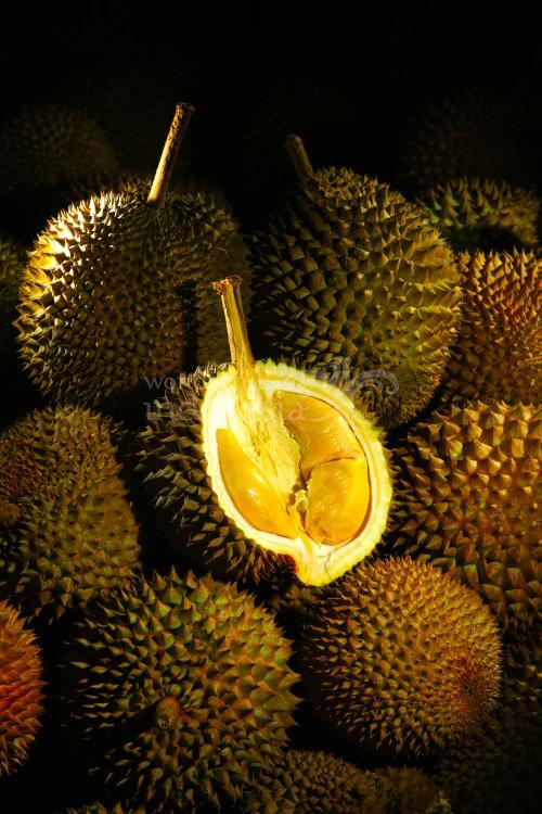 Durian Ucok, Medan, Indonesia