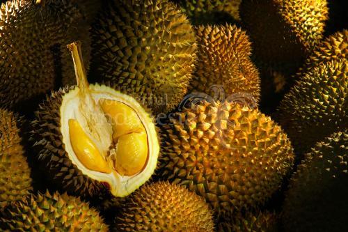 Durian Ucok, Medan, Indonesia