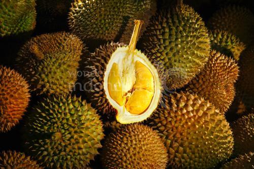 Durian Ucok, Medan, Indonesia