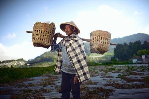 Desa Wisata Dieng