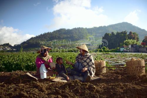 Desa Wisata Dieng