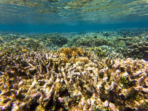 Likupang, Pulau Lihaga Underwater