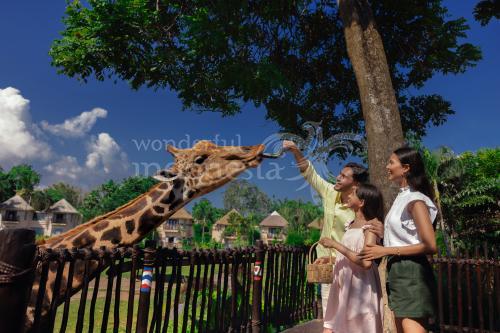 Taman Safari Bali