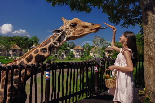 Taman Safari Bali