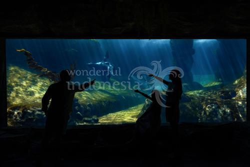 Taman Safari Bali