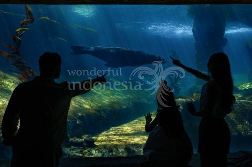 Taman Safari Bali